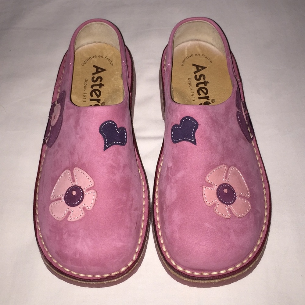 Aster Depuis 1913 - Pink